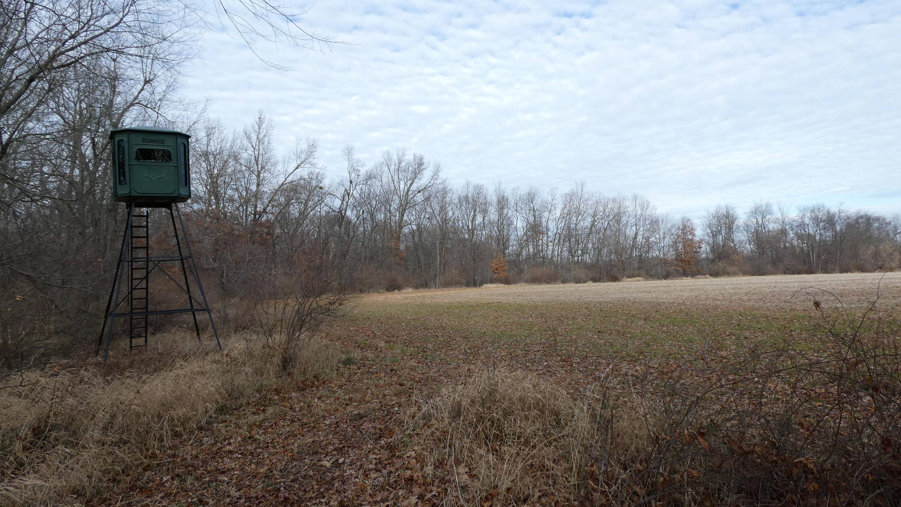 Bath, MI 48808,9840 HOLLISTER RD