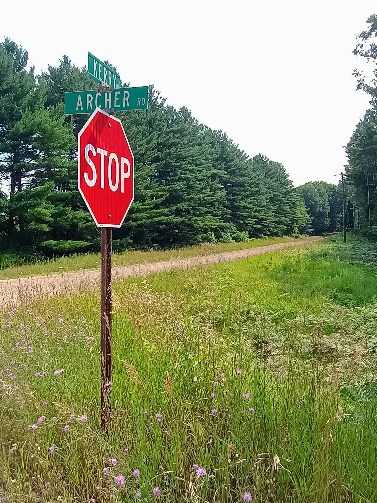 Brethren, MI 49619,00 Kerry and Archer RD