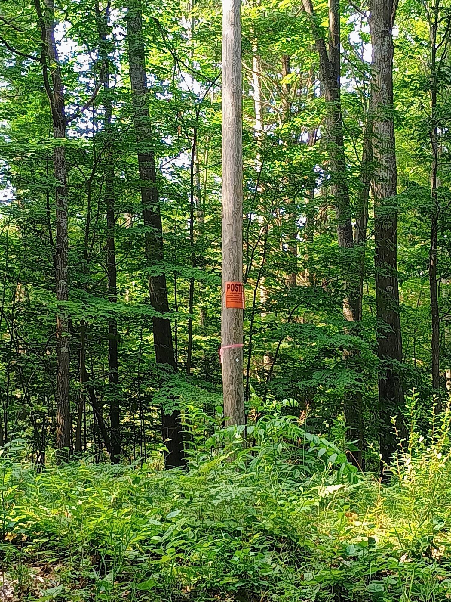 Brethren, MI 49619,00 Kerry and Archer RD