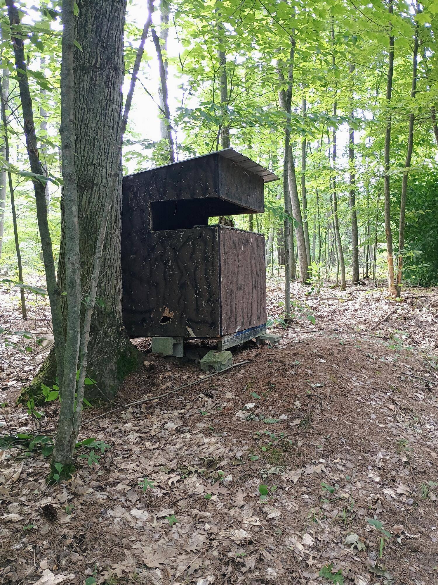 Brethren, MI 49619,00 Kerry and Archer RD