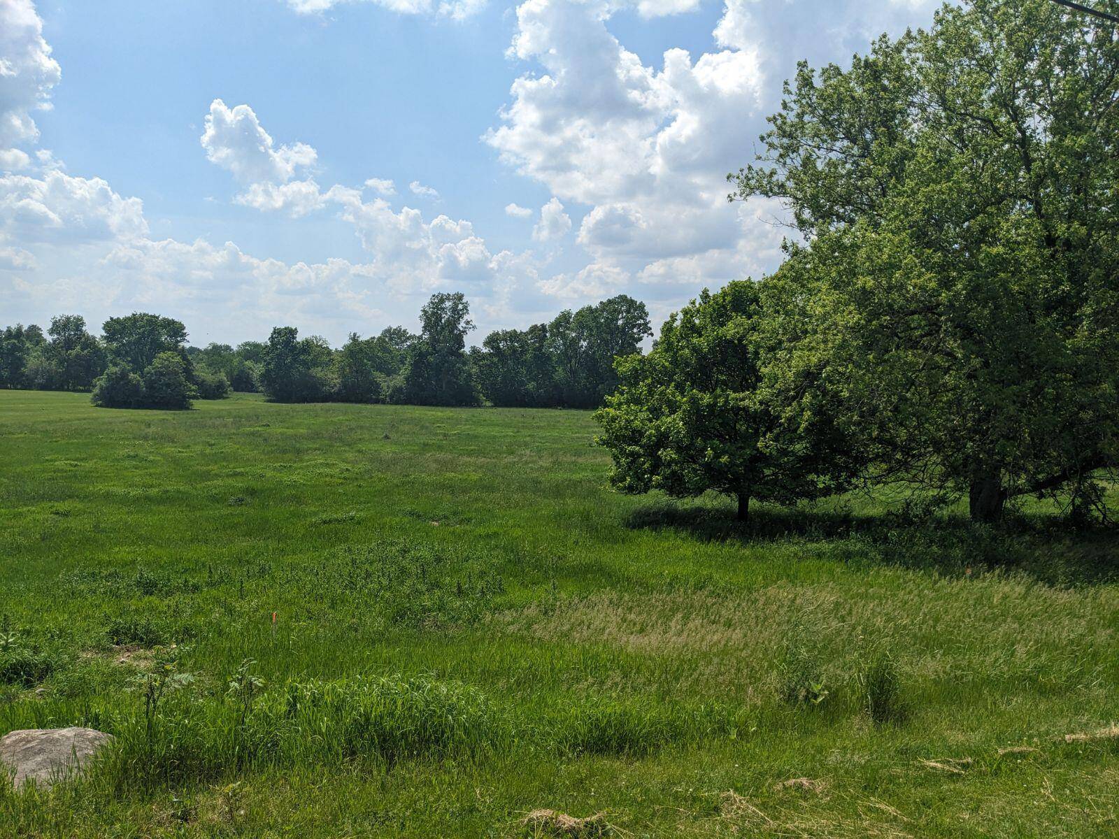 Dexter, MI 48130,0 Forshee LN