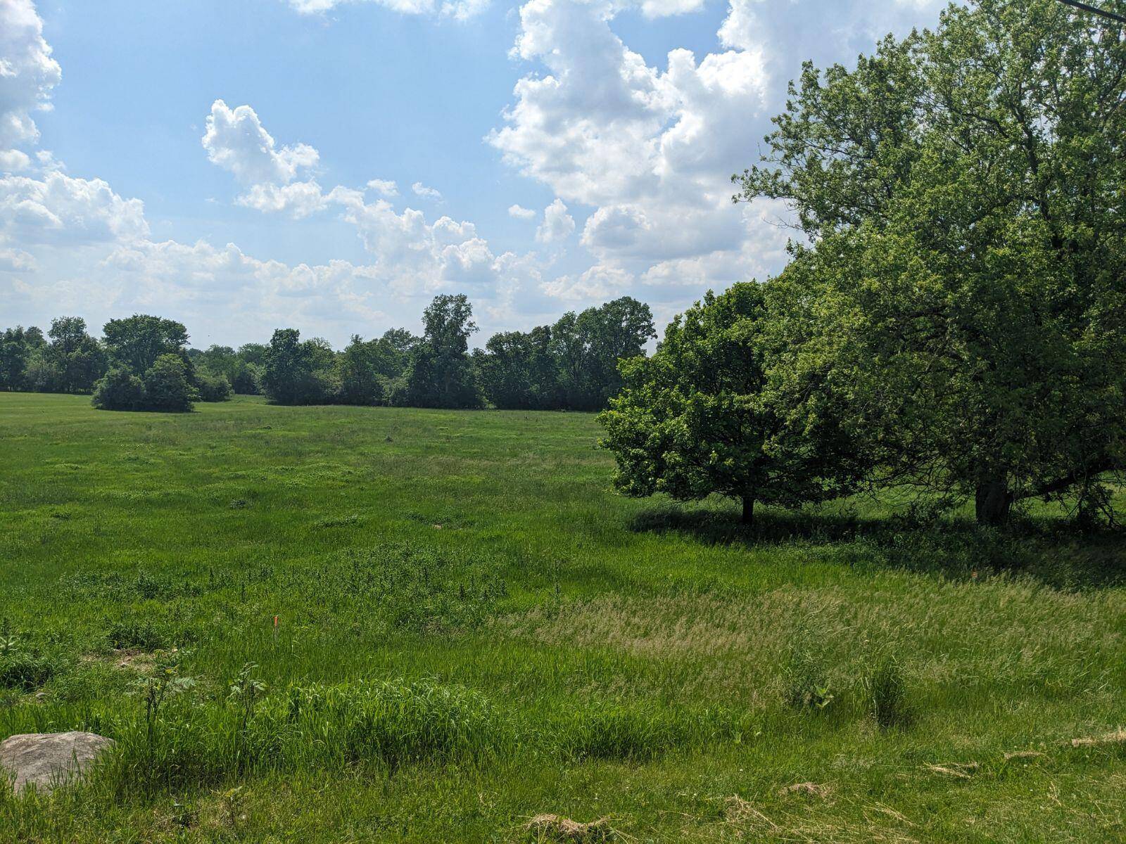 Dexter, MI 48130,0 Forshee LN