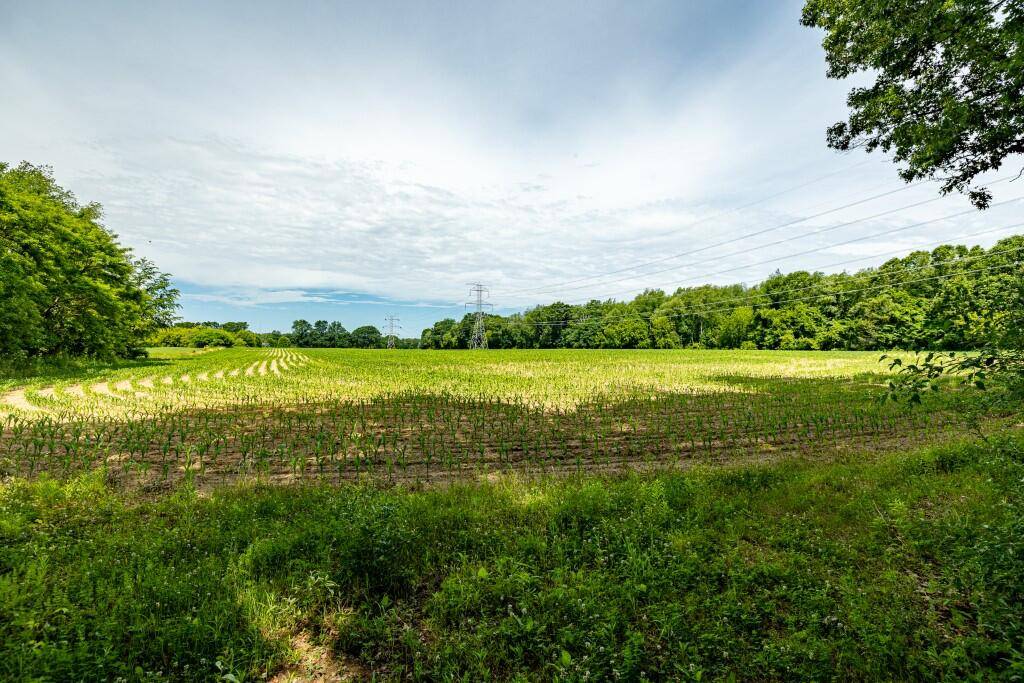 Chelsea, MI 48118,0 Riker RD #Parcel E