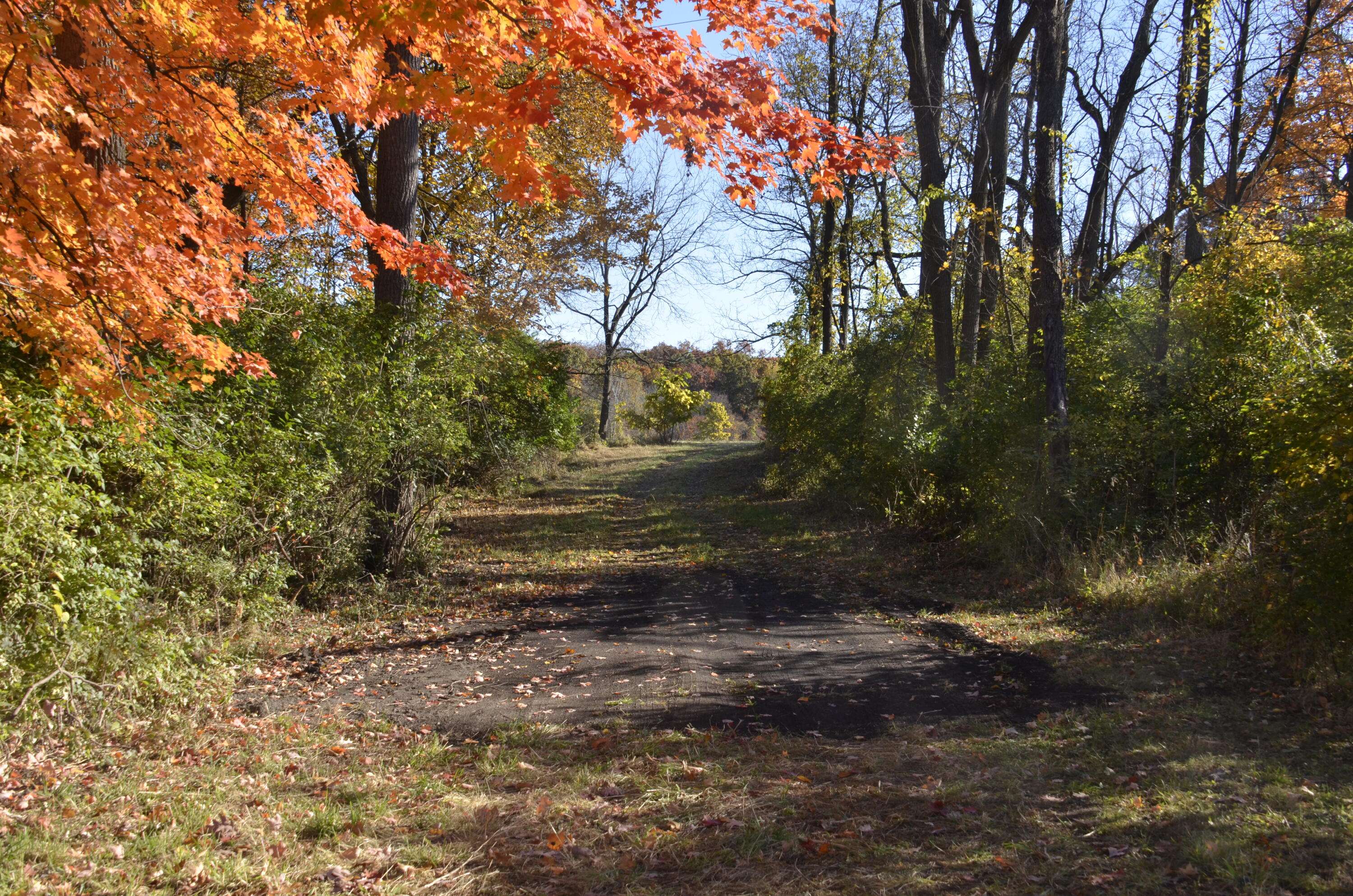 Jackson, MI 49201,6255 Maple Dale RD