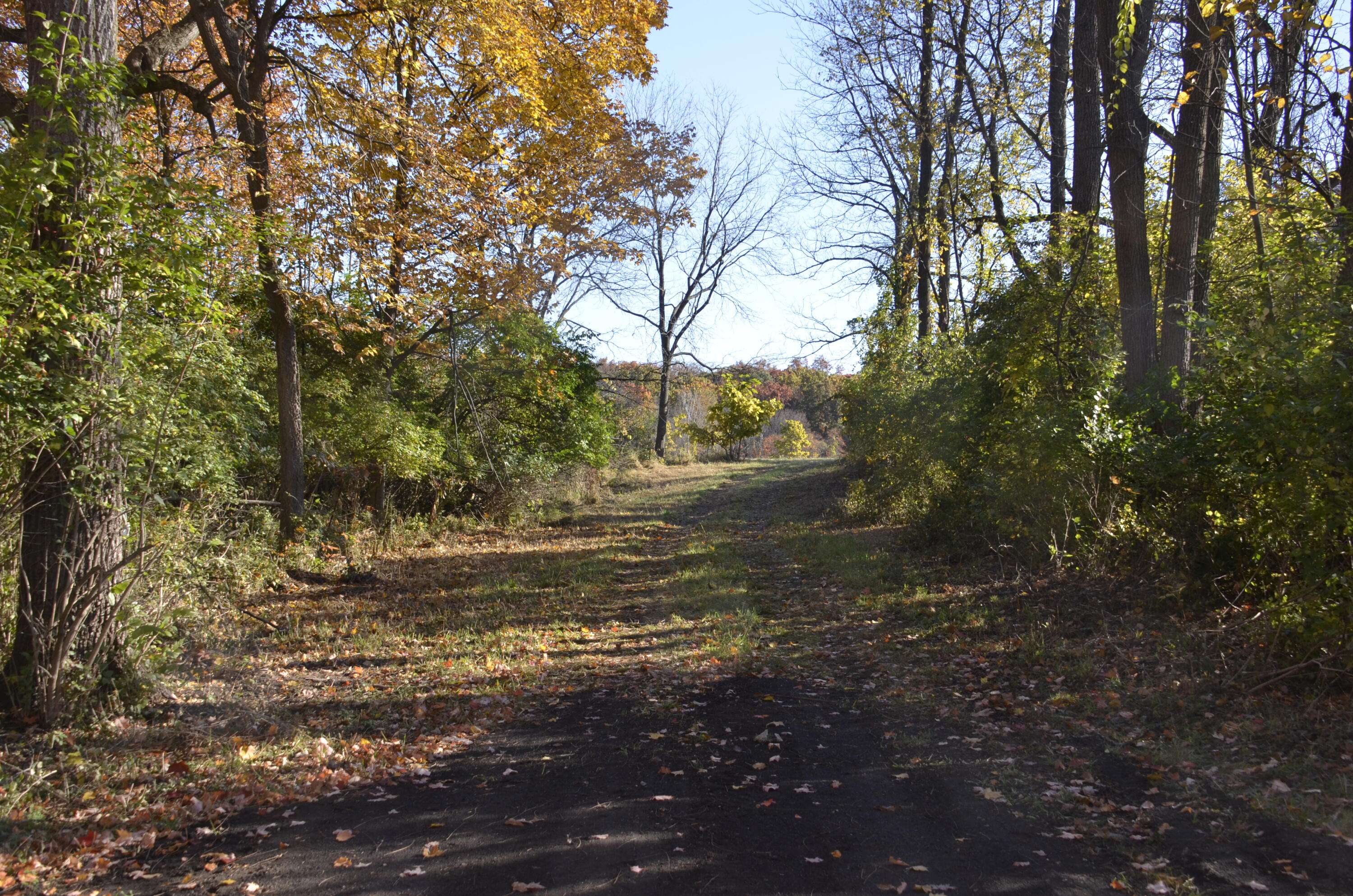 Jackson, MI 49201,6255 Maple Dale RD