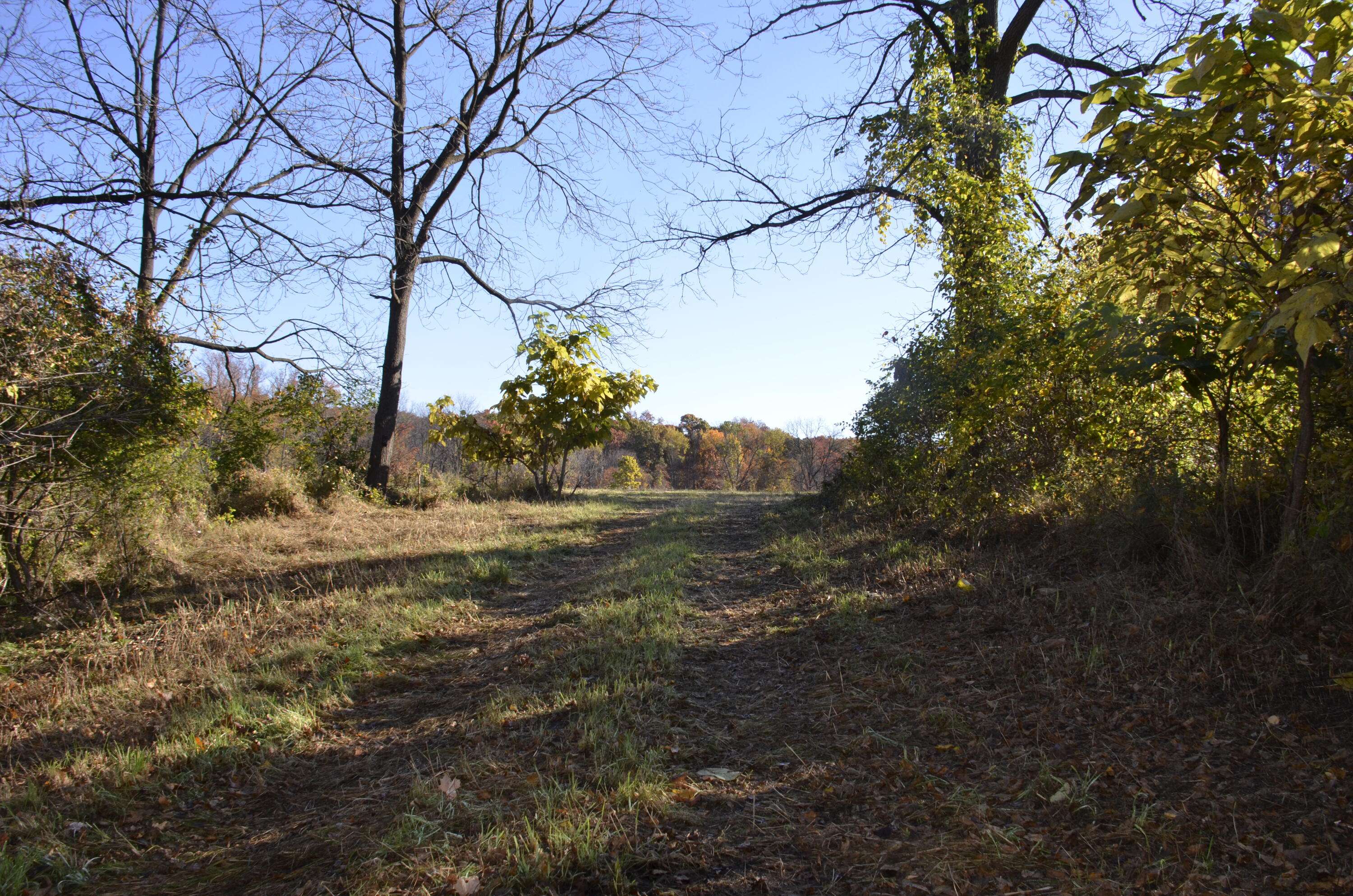 Jackson, MI 49201,6255 Maple Dale RD