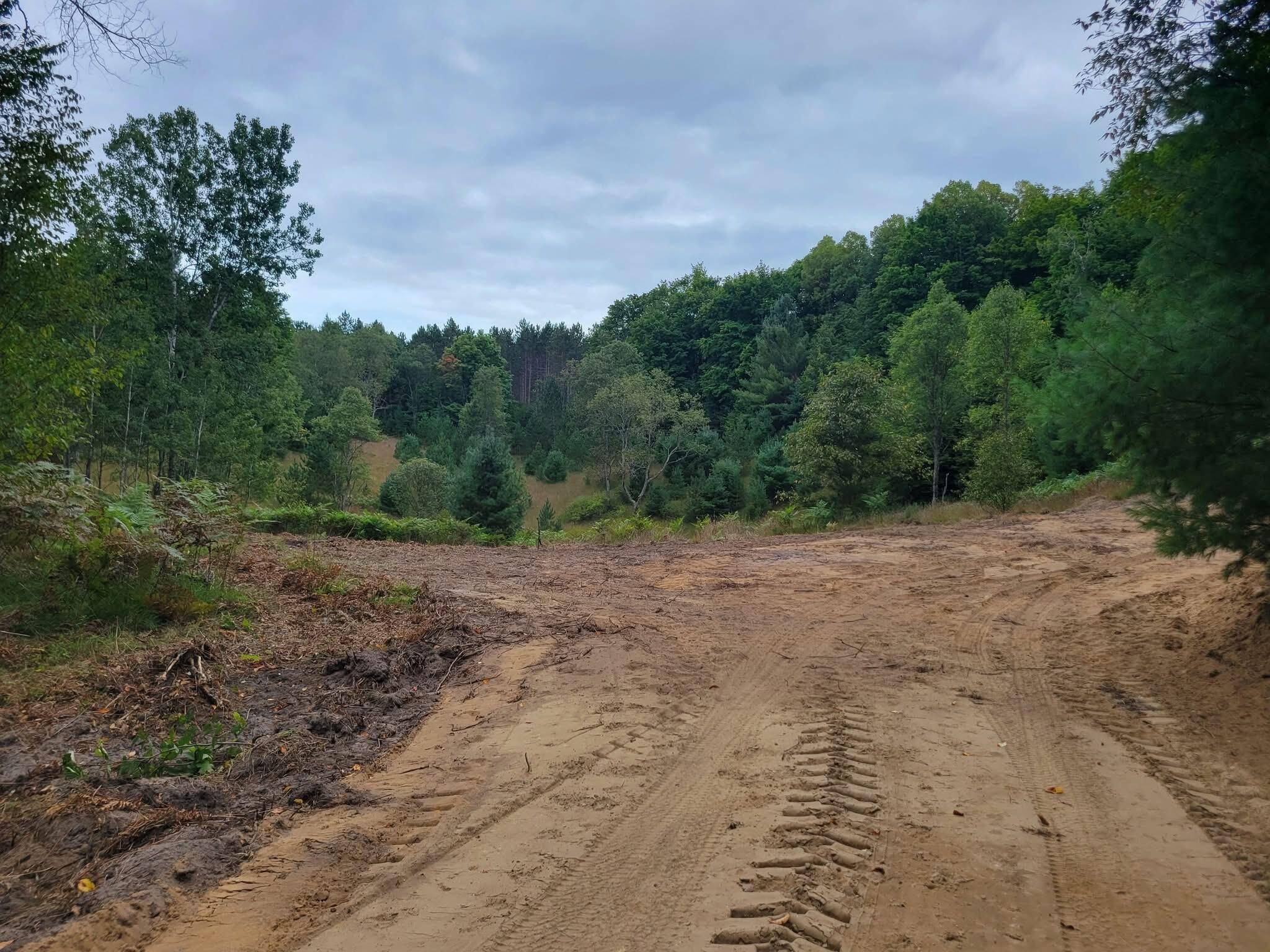 Rapid City, MI 49676,4141 Timber Ridge RD NW