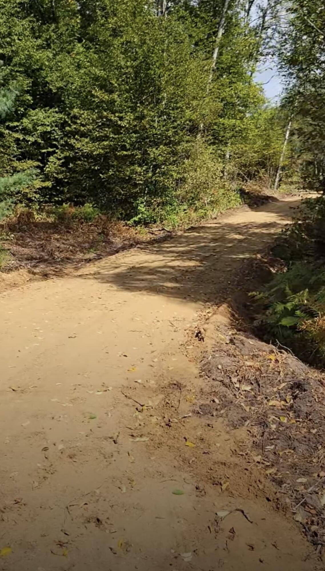 Rapid City, MI 49676,4141 Timber Ridge RD NW