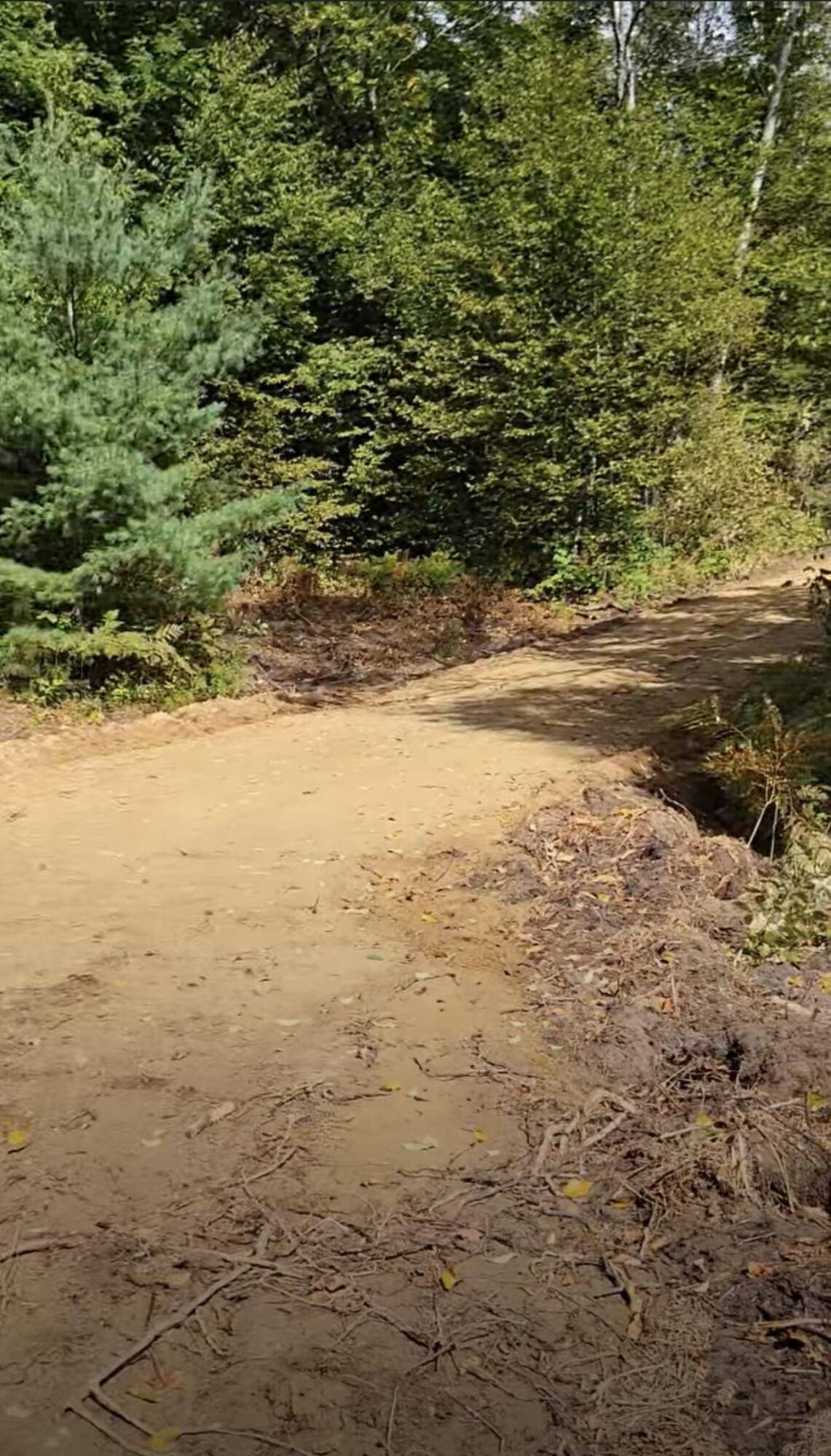 Rapid City, MI 49676,4141 Timber Ridge RD NW