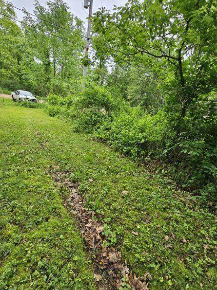 Bath, MI 48808,6464 Drumheller RD