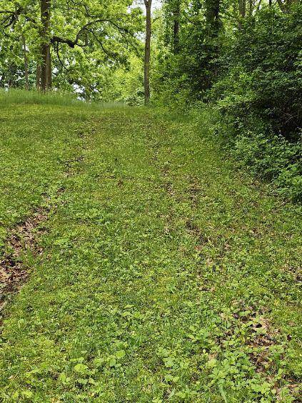 Bath, MI 48808,6464 Drumheller RD