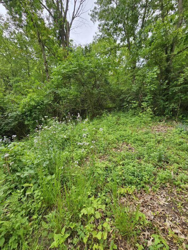 Bath, MI 48808,6464 Drumheller RD