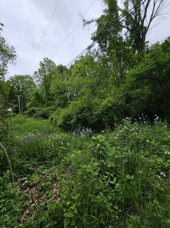 Bath, MI 48808,6464 Drumheller RD