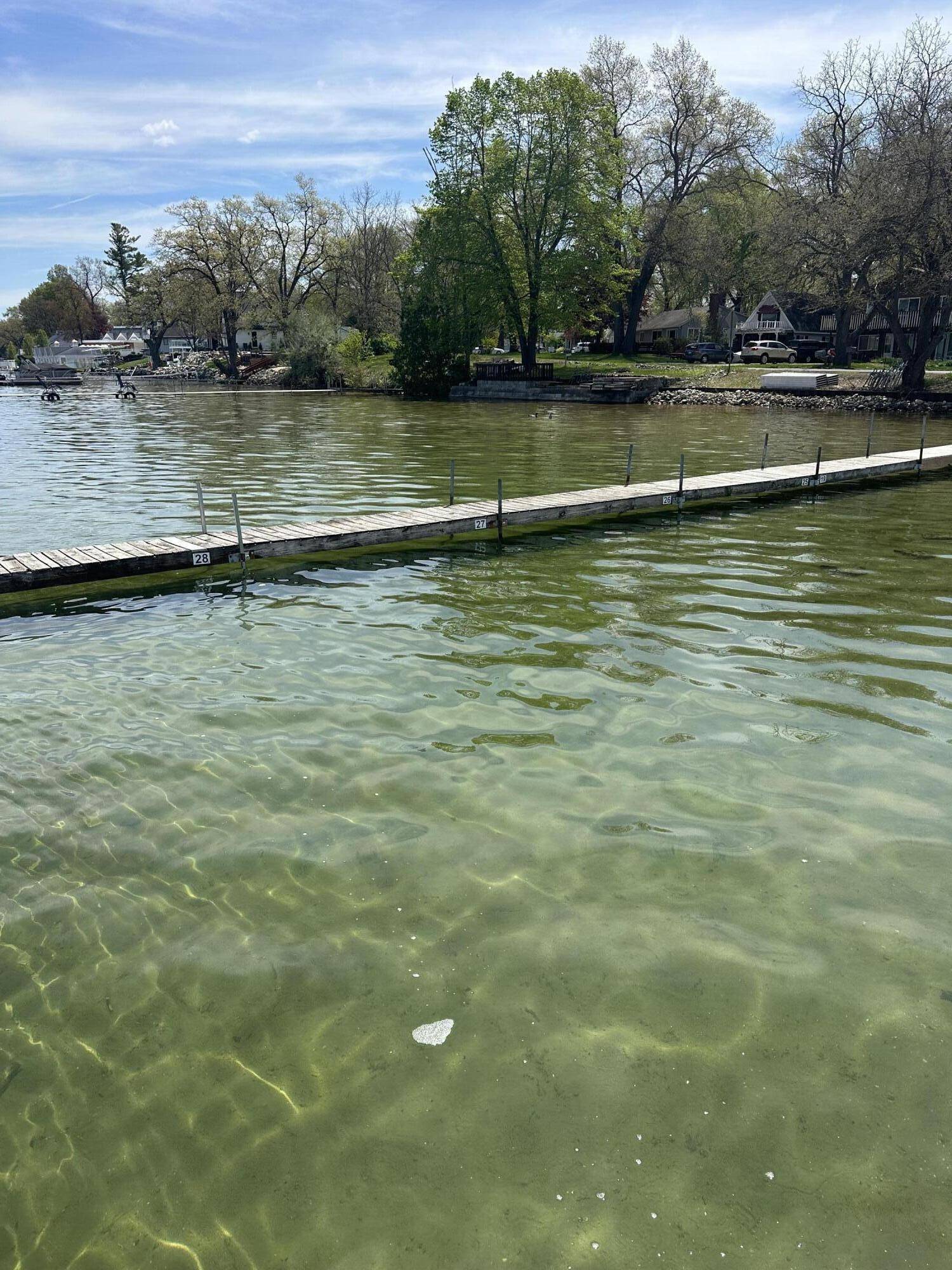 Shelbyville, MI 49344,11603 Winchester DR