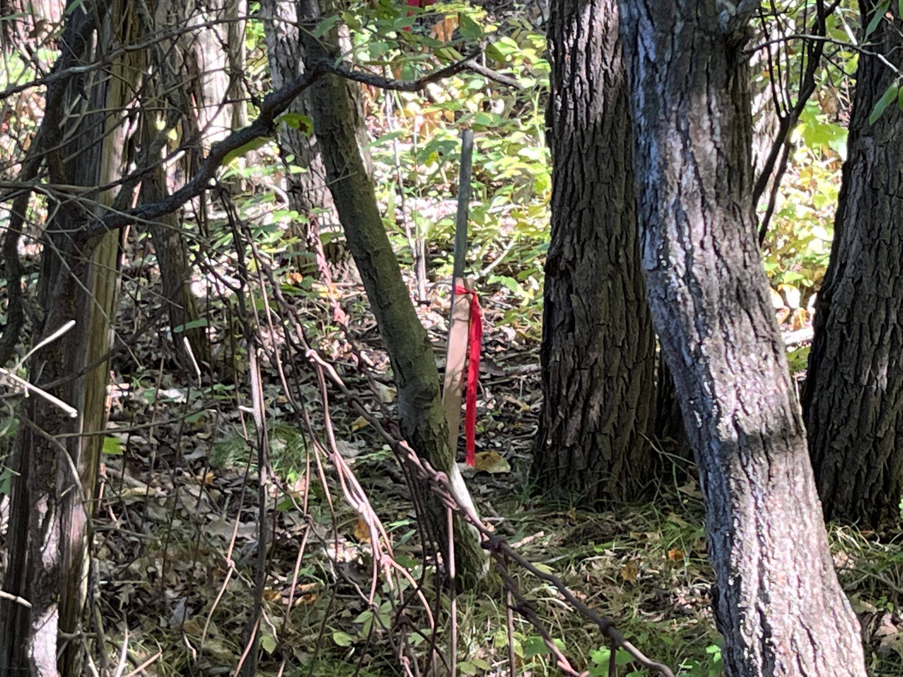 Casnovia, MI 49318,0 Crockery Woods DR #Parcel K