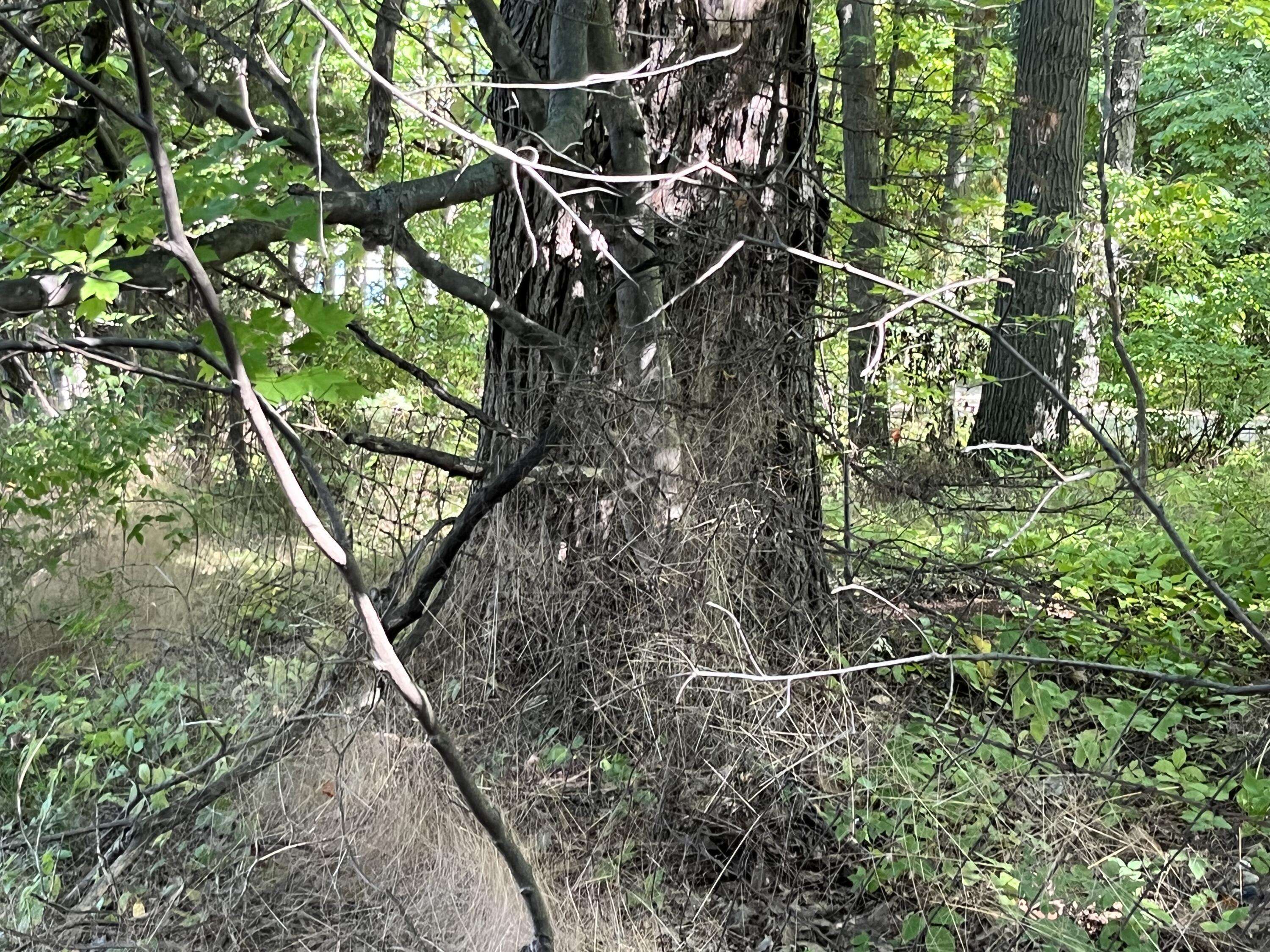 Casnovia, MI 49318,0 Crockery Woods DR #Parcel K