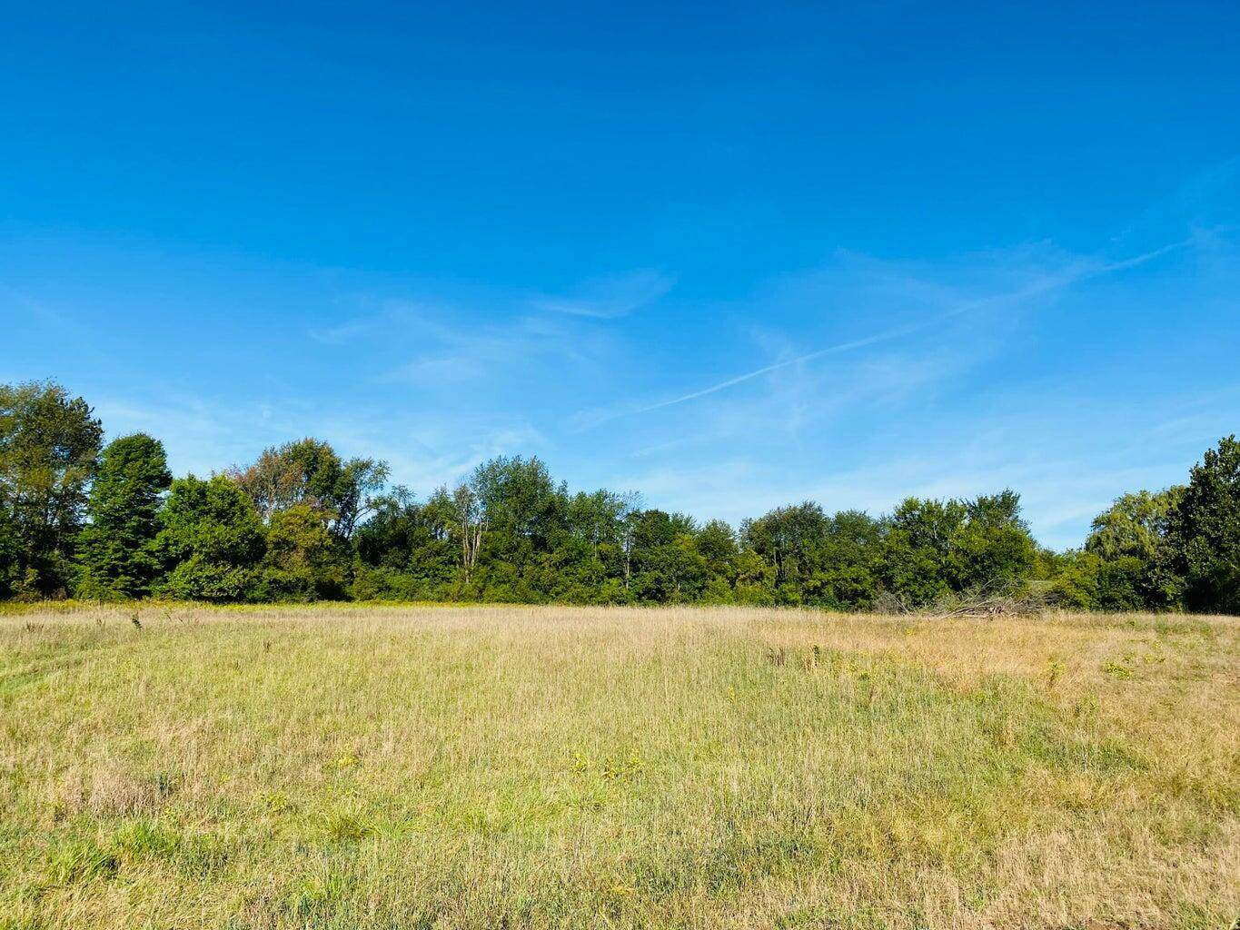 Marne, MI 49435,14335 Sheffields Way