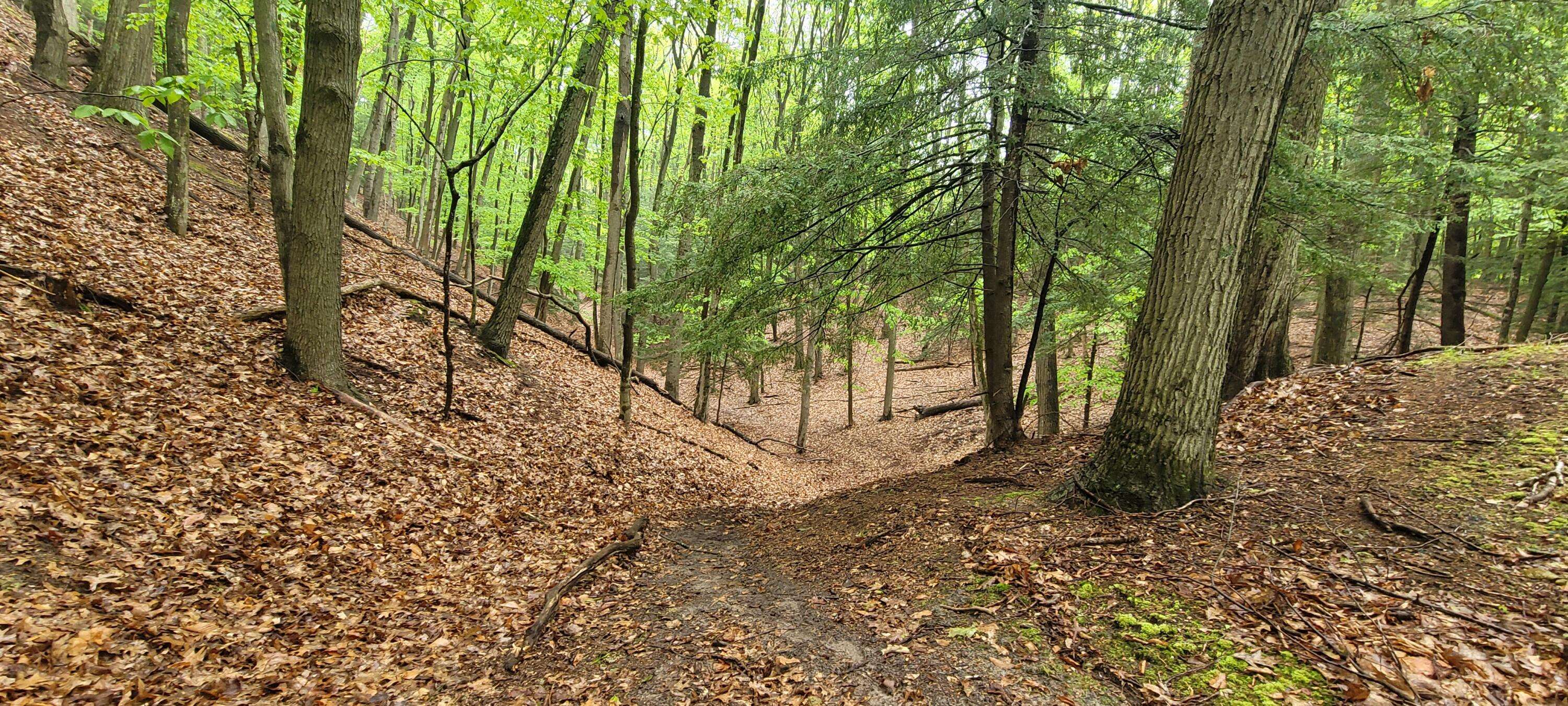 Pentwater, MI 49449,Avenue D