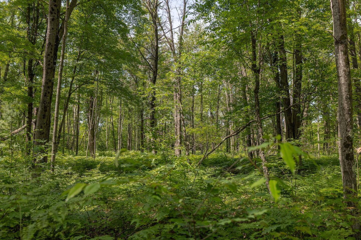 Bitely, MI 49309,000 V/L 13 Mile Rd. #Par D