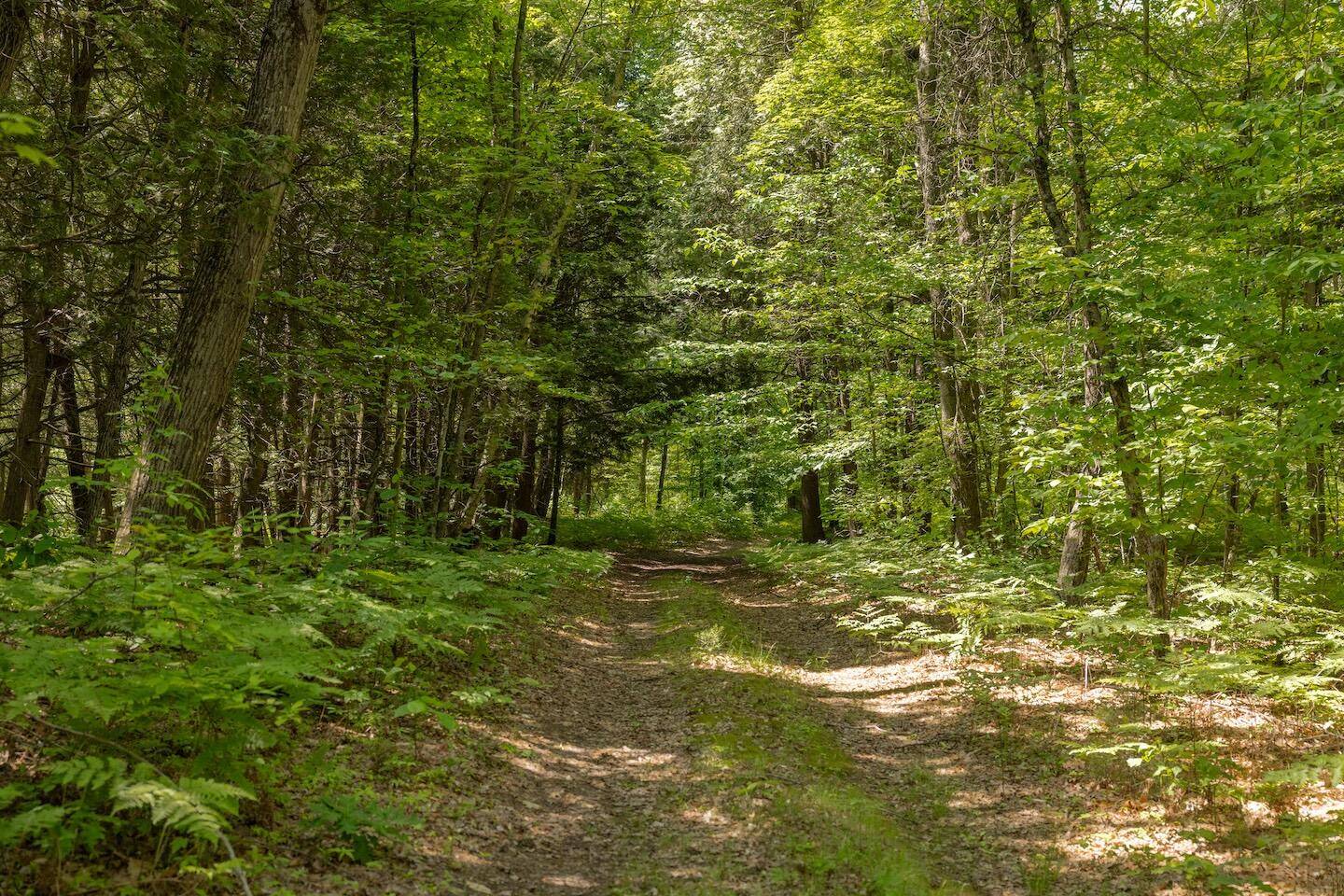 Bitely, MI 49309,000 V/L 13 Mile Rd. #Par D