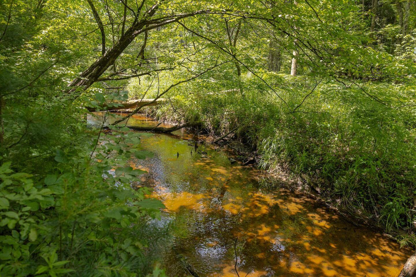 Bitely, MI 49309,000 V/L 13 Mile Rd. #Par D