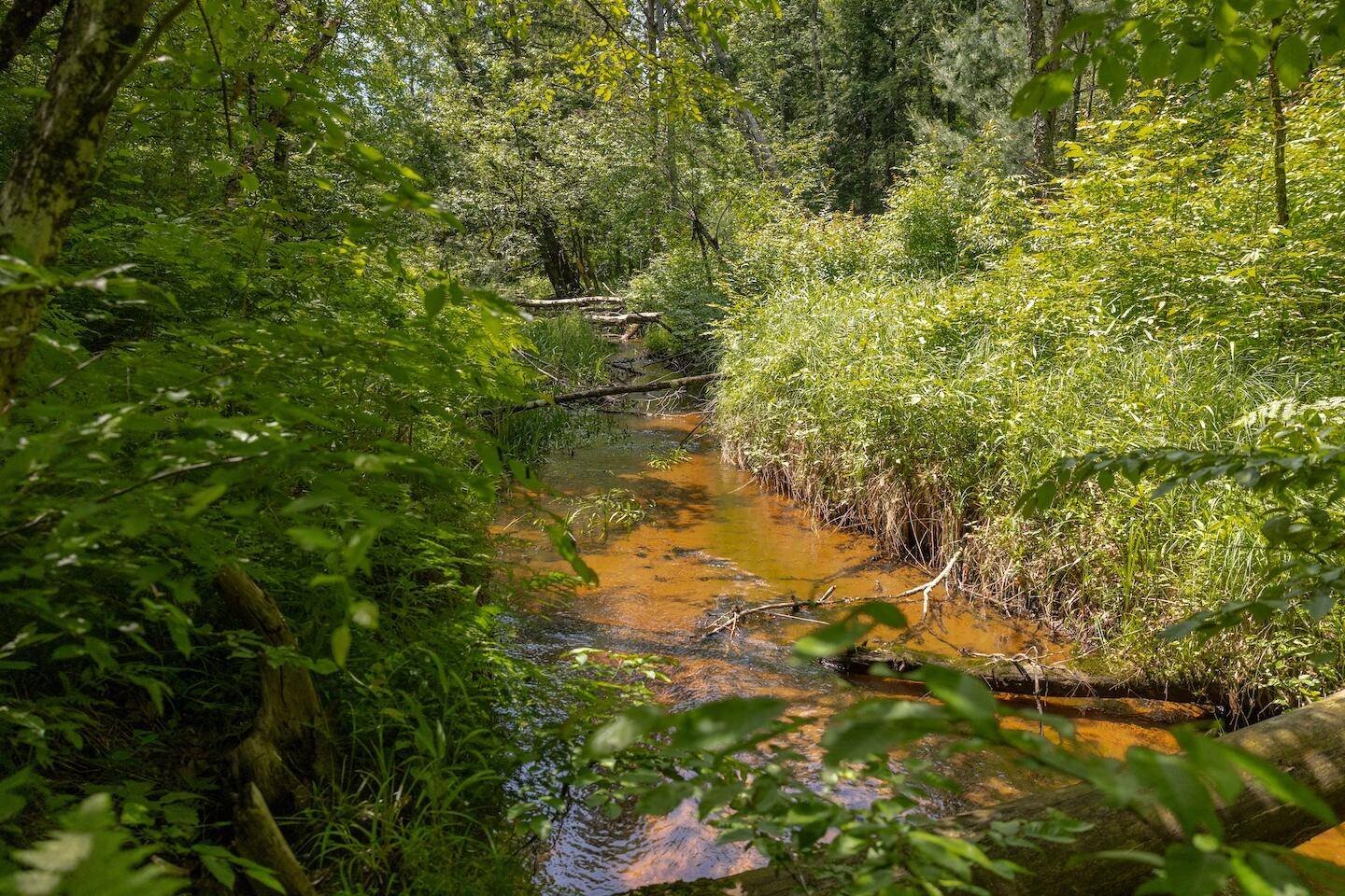 Bitely, MI 49309,000 V/L 13 Mile Rd. #Par D