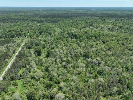 Bitely, MI 49309,000 V/L 13 Mile Rd. #Par D