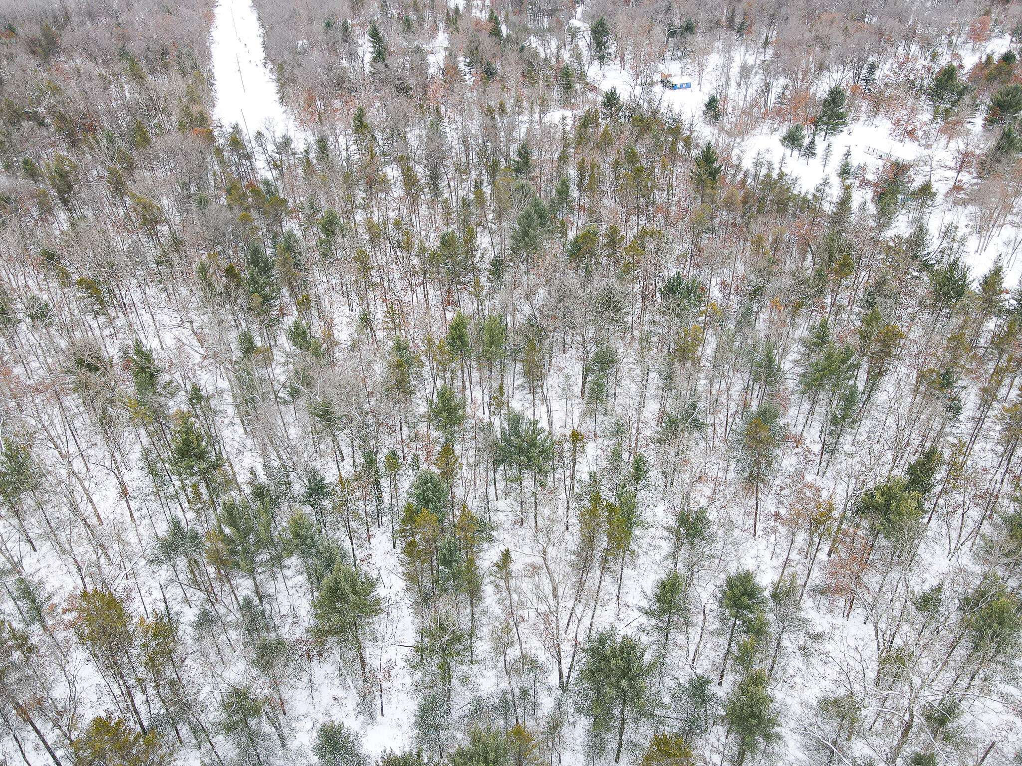 Idlewild, MI 49642,V/L Nelson RD