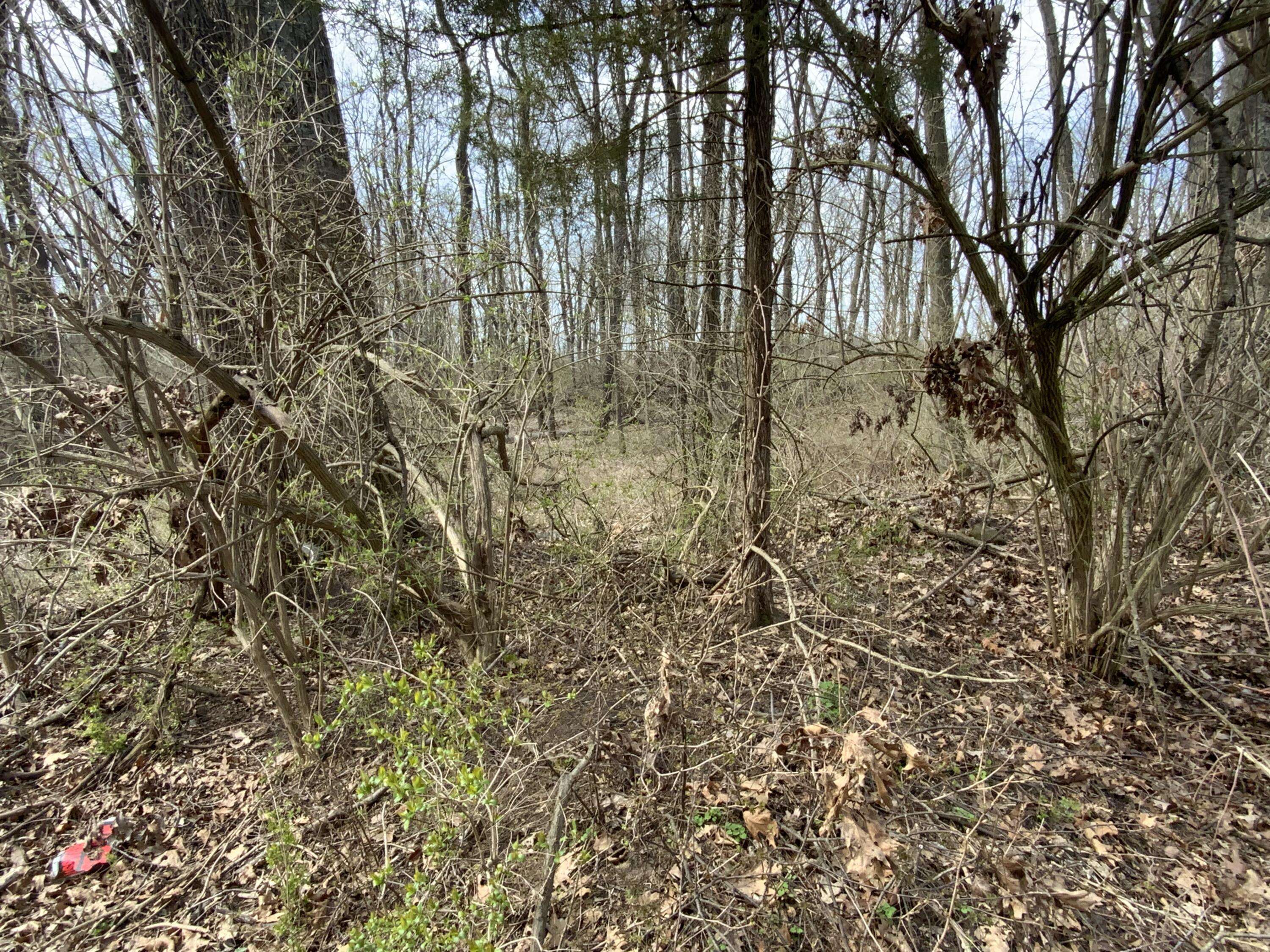 Spring Arbor, MI 49283,0 Mathews Rd Parcel D