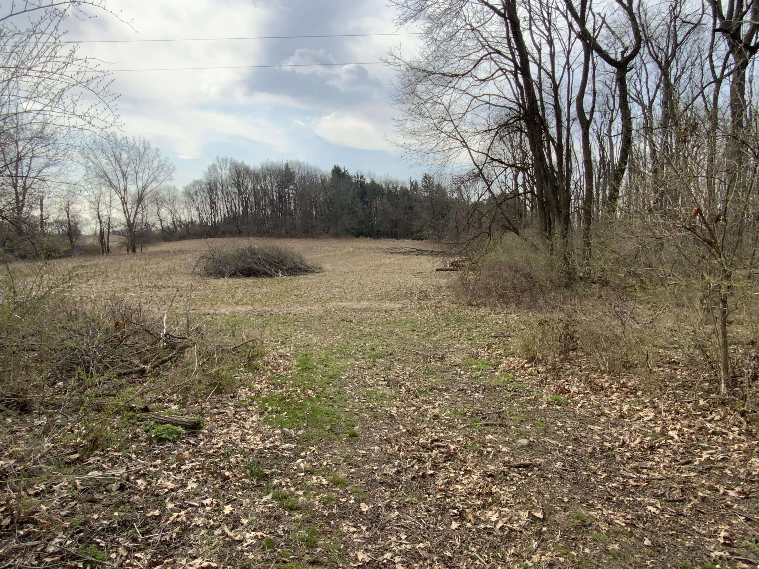 Spring Arbor, MI 49283,0 Mathews Rd Parcel D