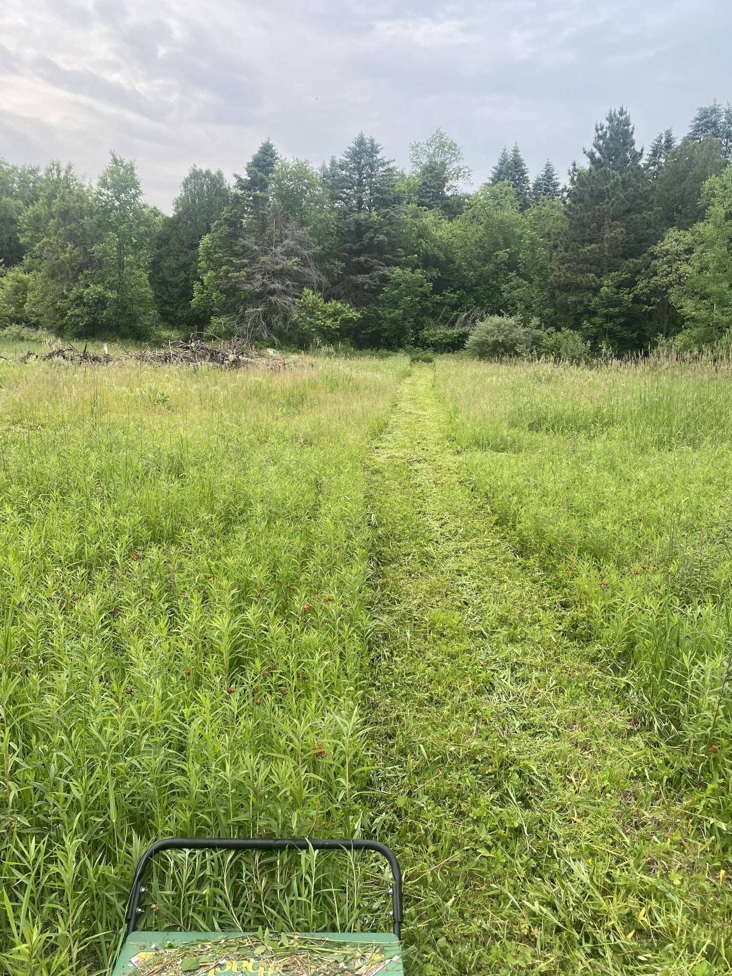 Fruitport, MI 49415,VL - A E Sternberg RD