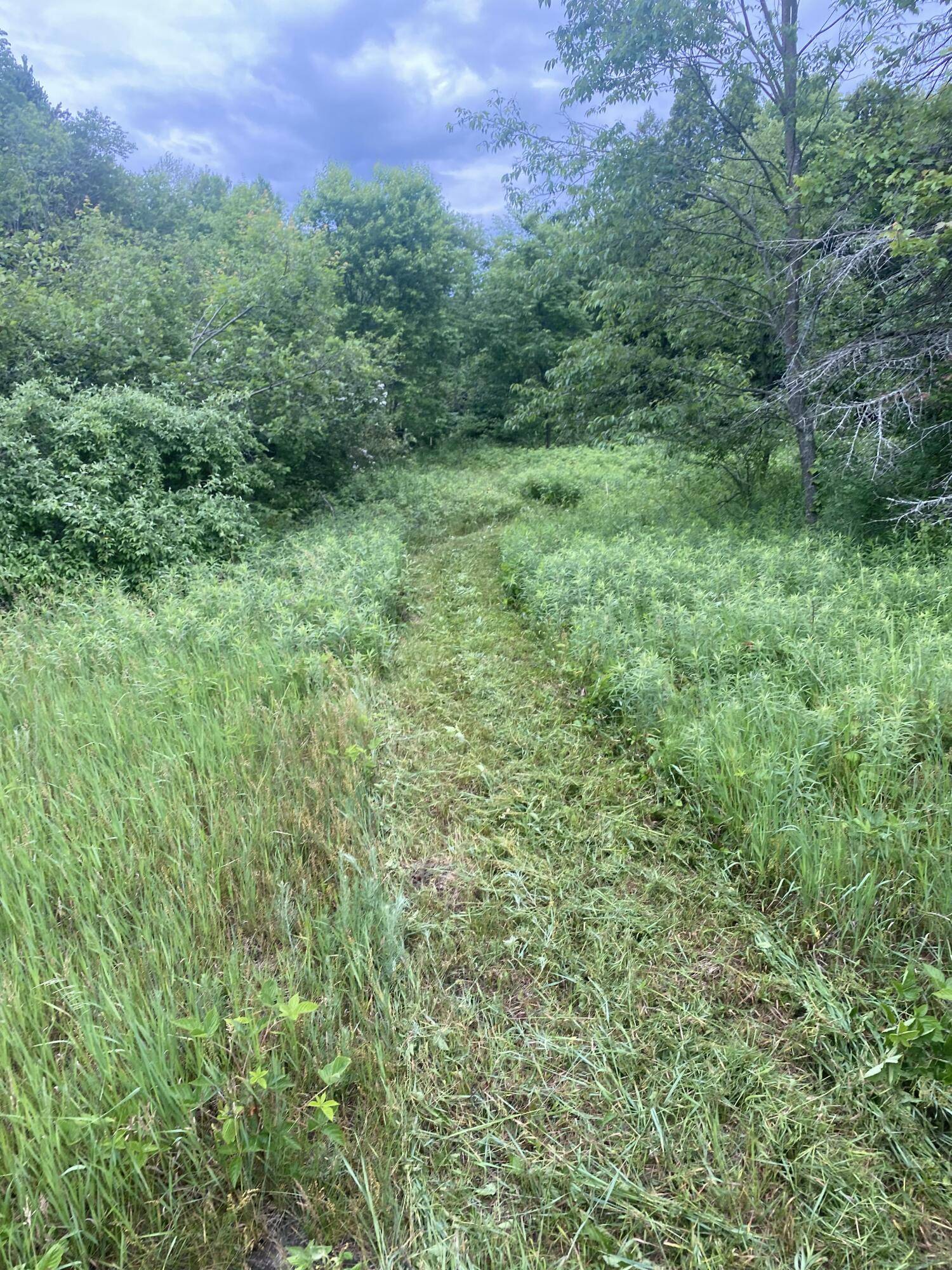 Fruitport, MI 49415,VL - A E Sternberg RD