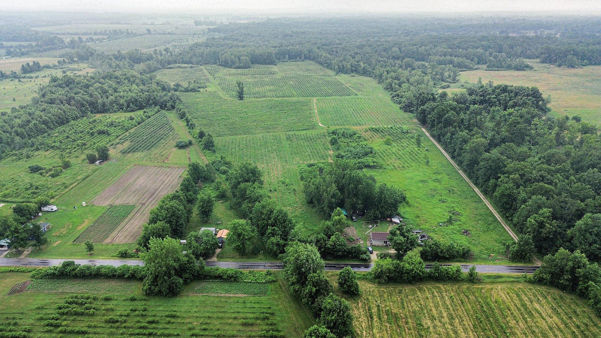 Covert, MI 49043,36th AVE