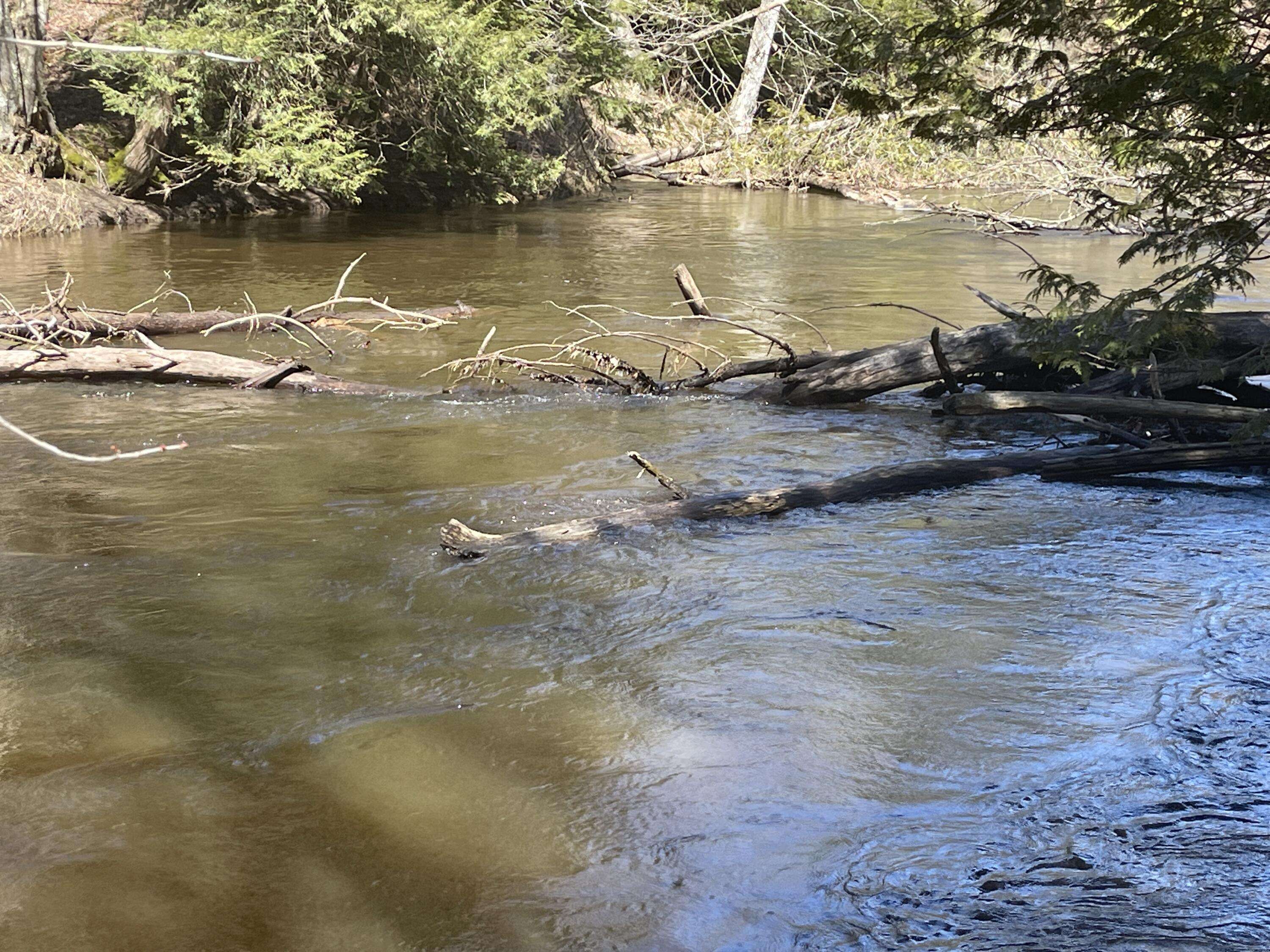 Brethren, MI 49619,V/L Coates HWY