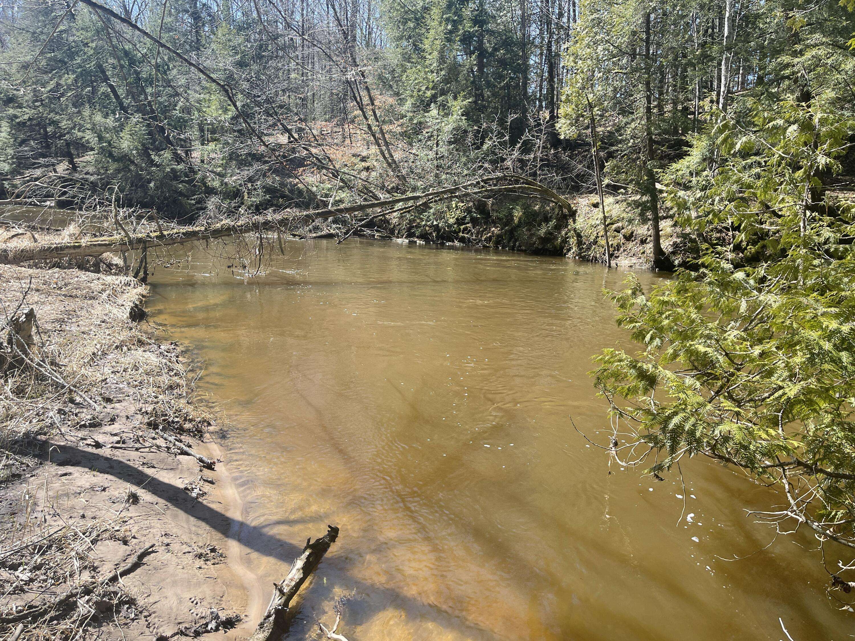 Brethren, MI 49619,V/L Coates HWY