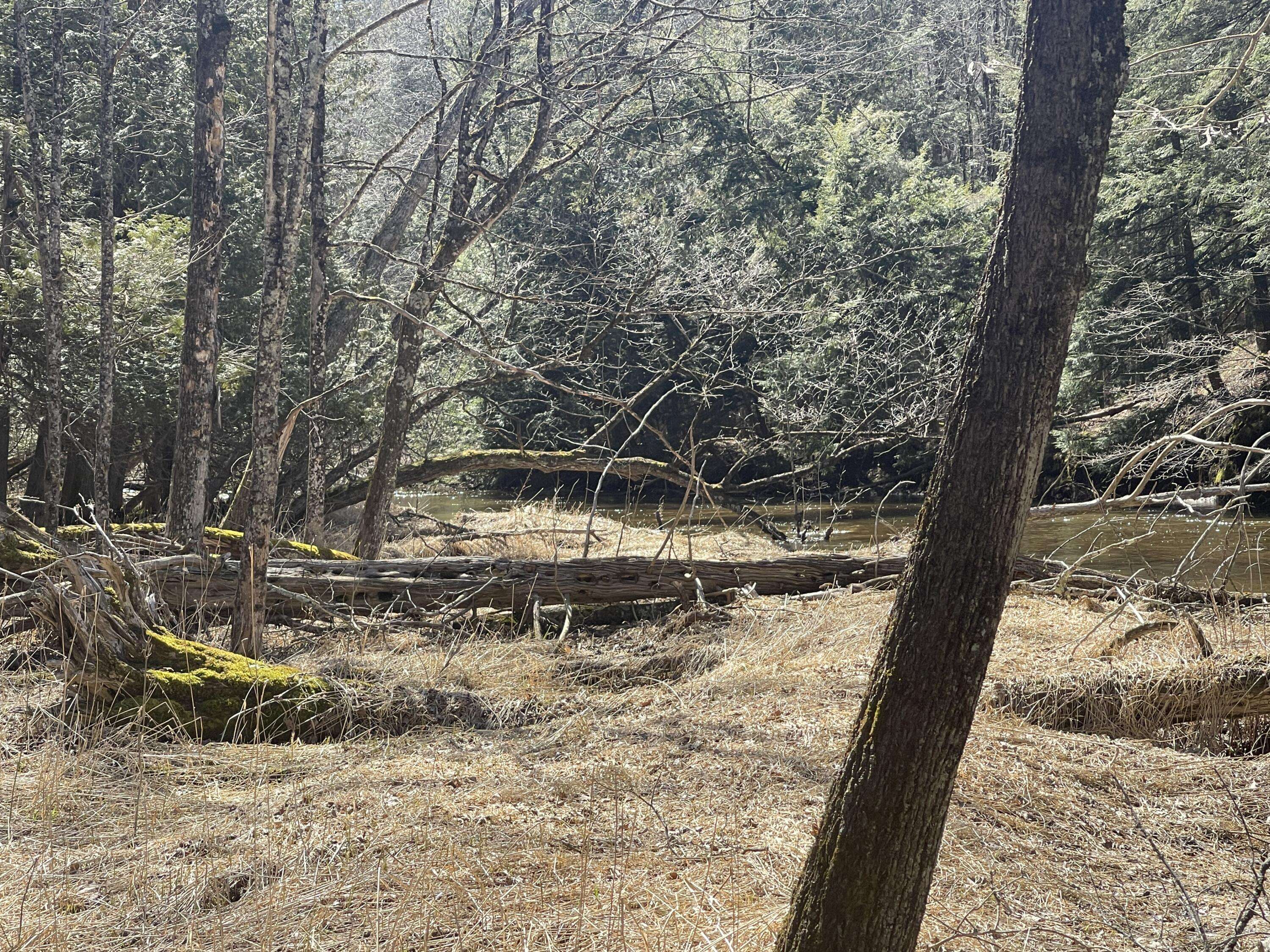 Brethren, MI 49619,V/L Coates HWY