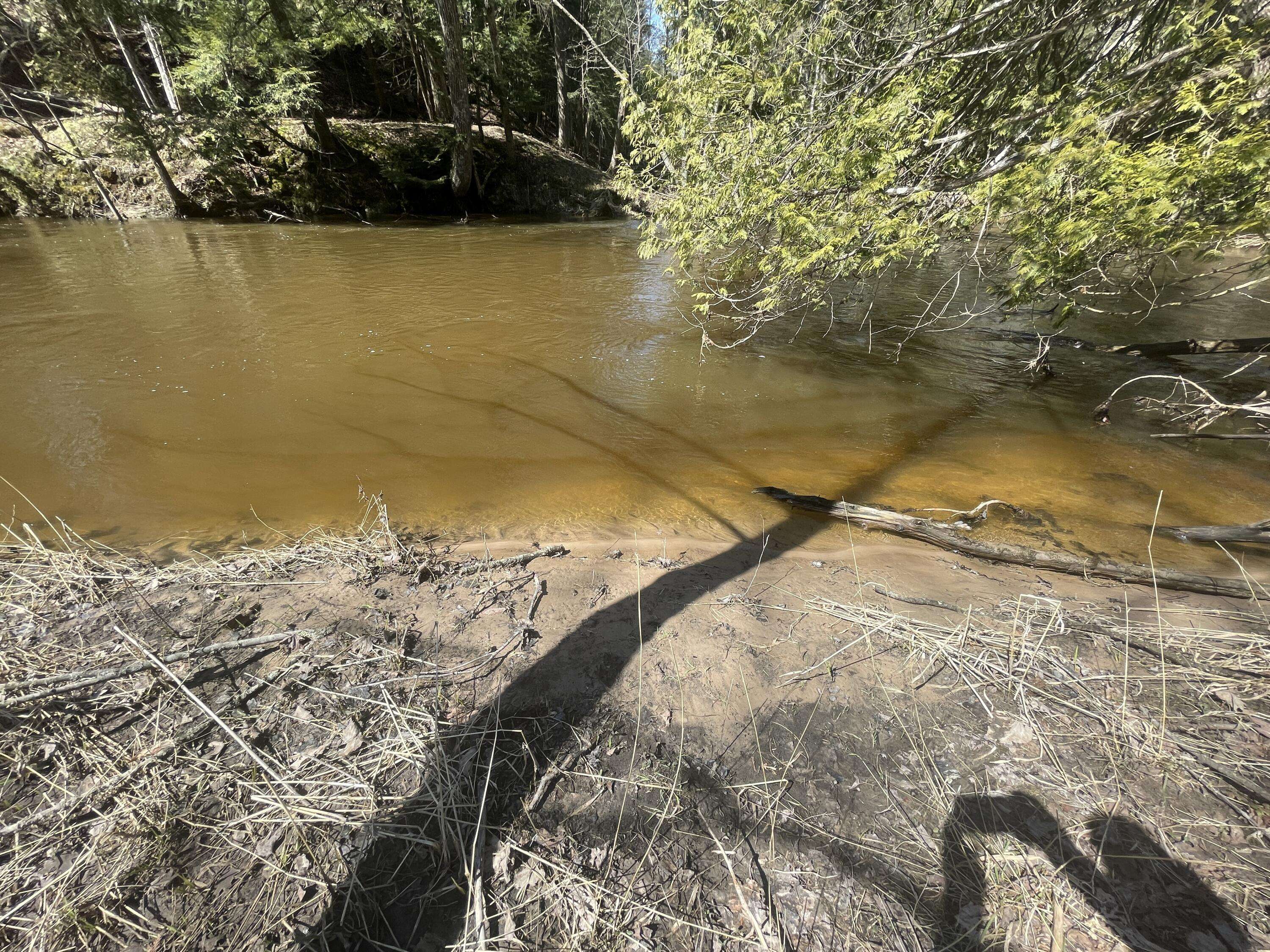 Brethren, MI 49619,V/L Coates HWY