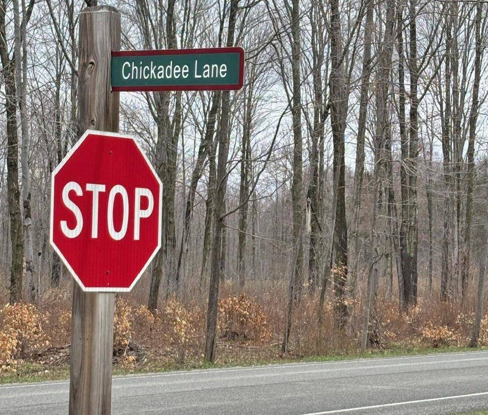 Thompsonville, MI 49683,45 Chickadee LN