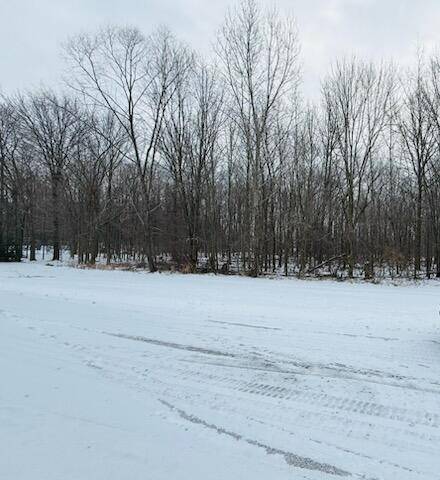 Grand Blanc, MI 48439,66 Hickory Trail