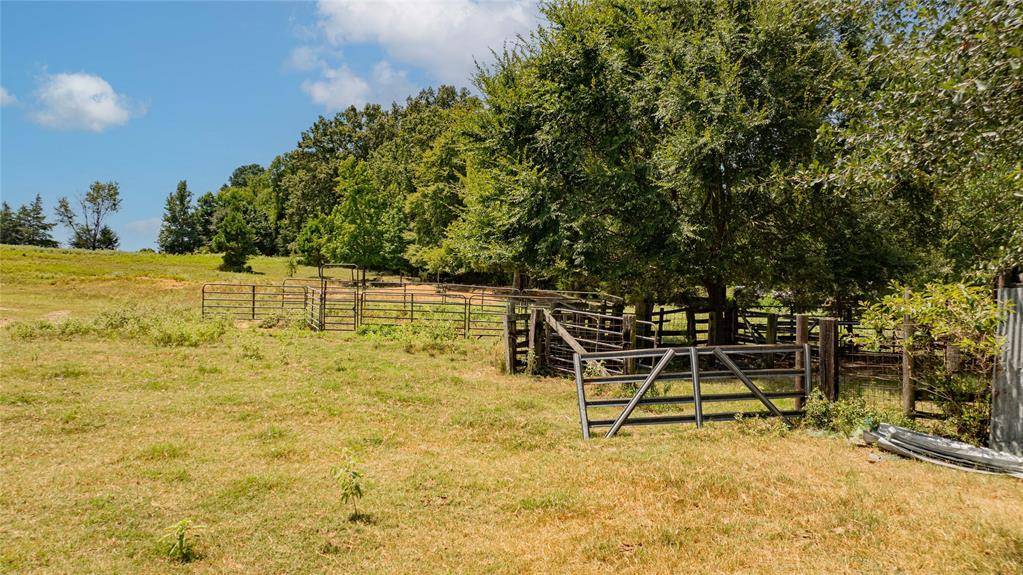 Diana, TX 75640,TBD FM 726