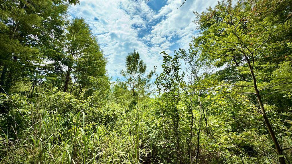 Hosston, LA 71043,0 Winn School Road