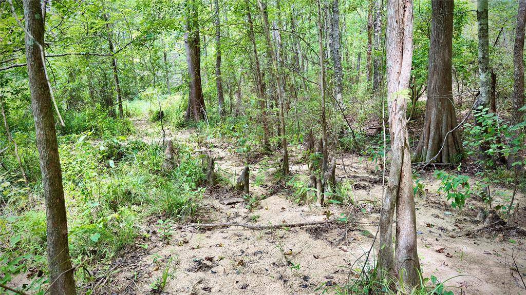 Hosston, LA 71043,0 Winn School Road