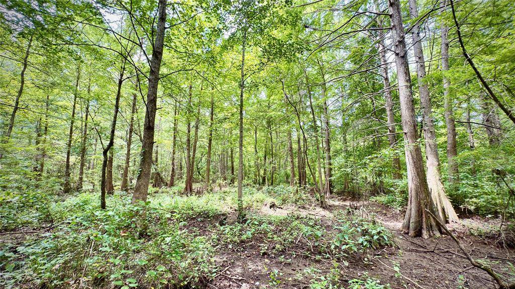 Hosston, LA 71043,0 Winn School Road