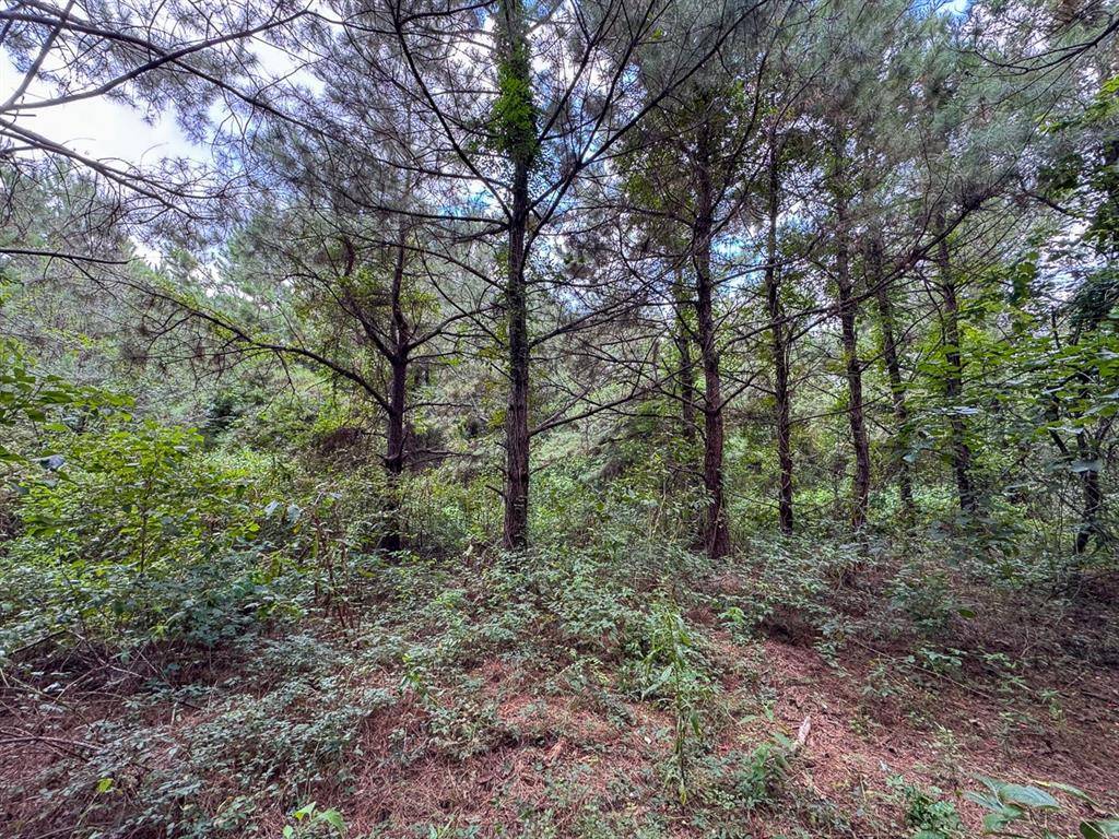 Provencal, LA 71468,2 Provencal Vowell Mills Road