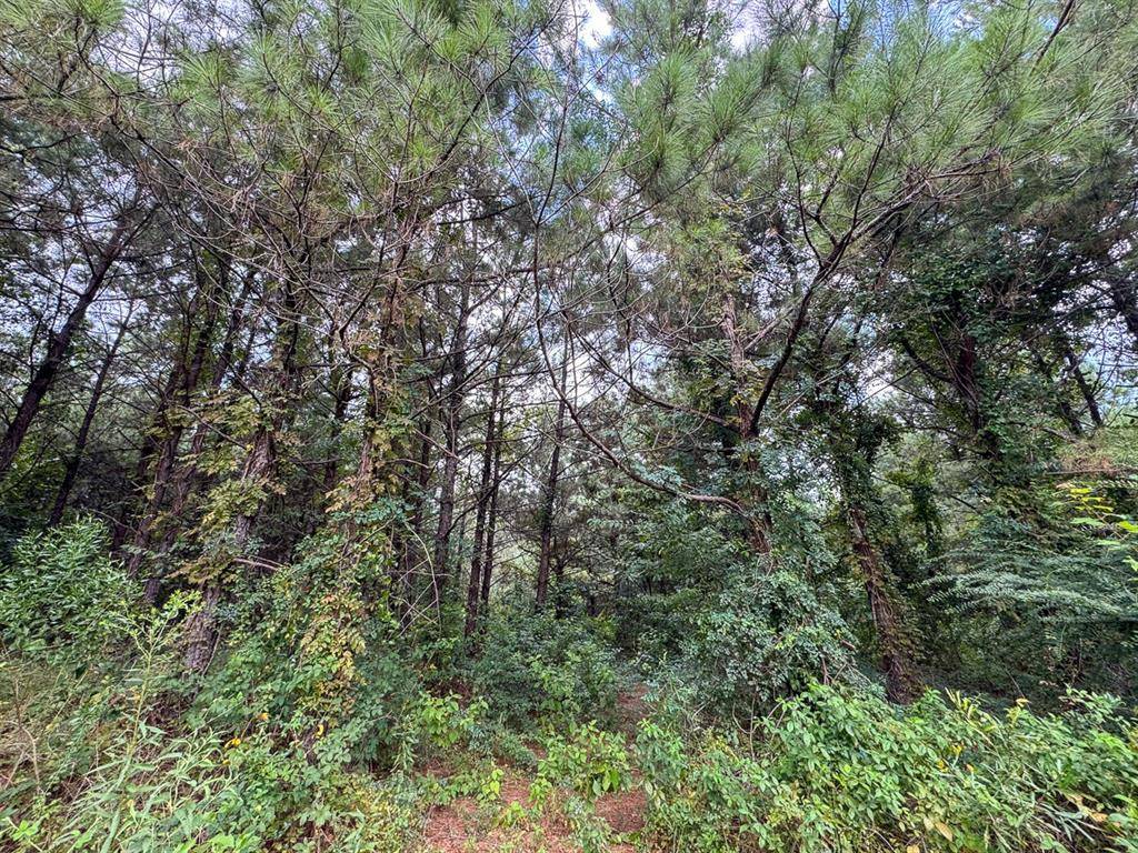 Provencal, LA 71468,2 Provencal Vowell Mills Road