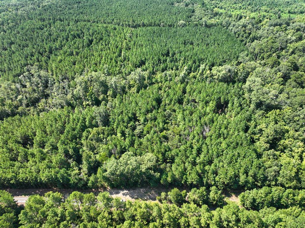 Mansfield, LA 71052,TBD Sam Booker Road