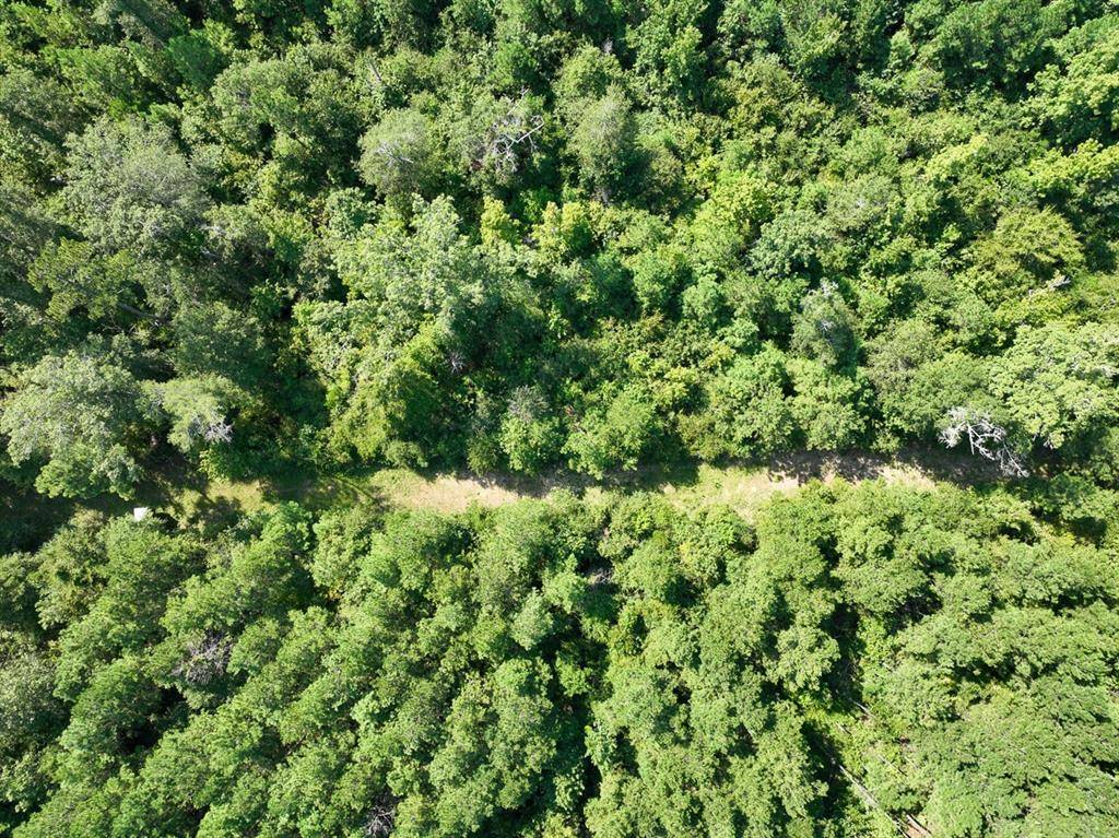 Mansfield, LA 71052,TBD Sam Booker Road