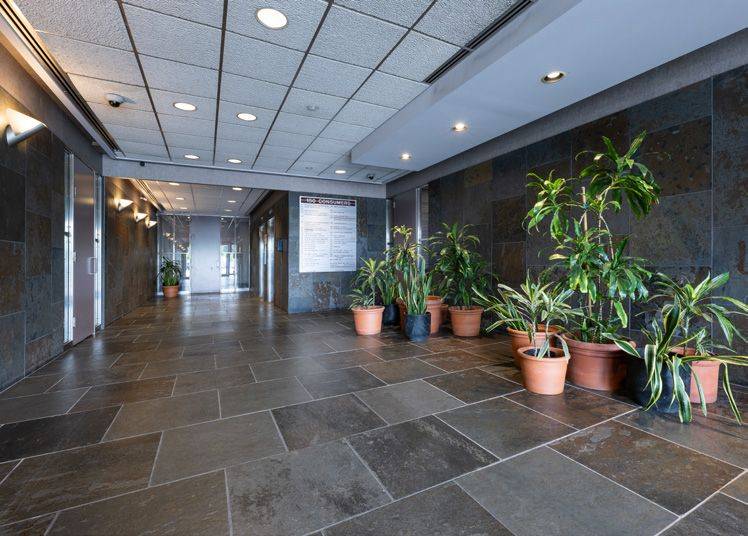 Toronto C15, ON M2J 1P9,150 Consumers RD #300