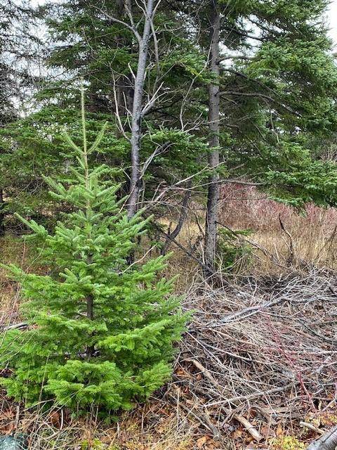 Victoria, NL A0A 4G0,104-108 Highway East