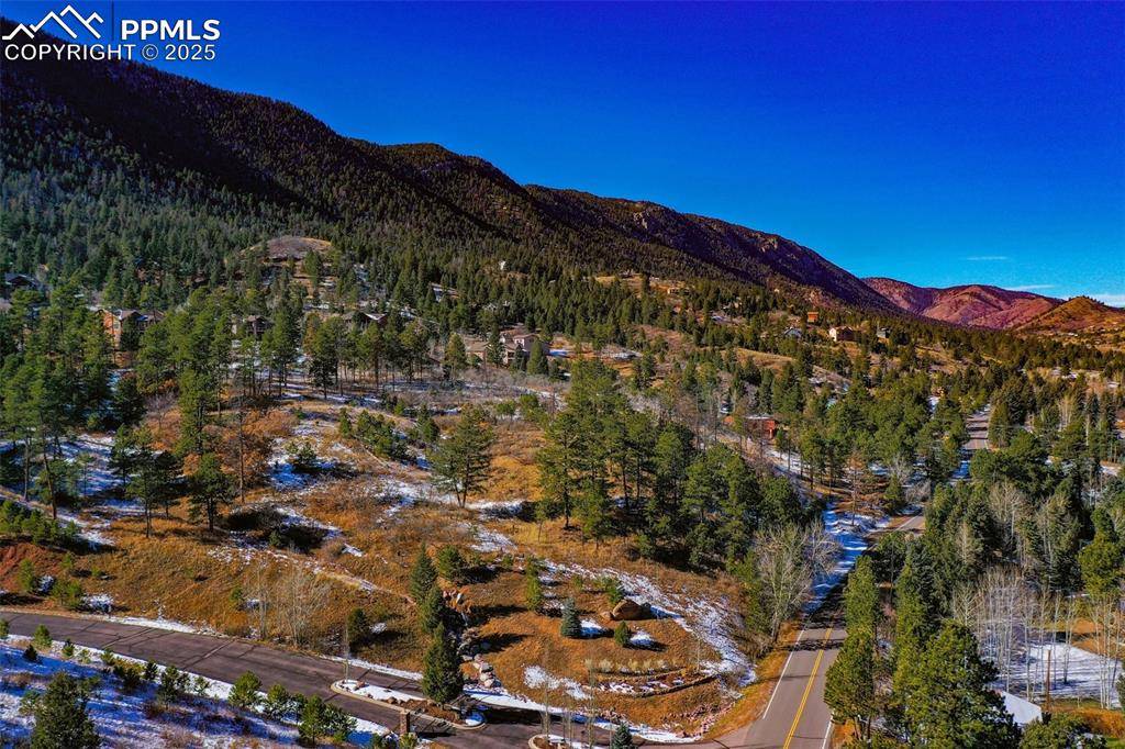 Cascade, CO 80809,5330 Chipita Pines DR